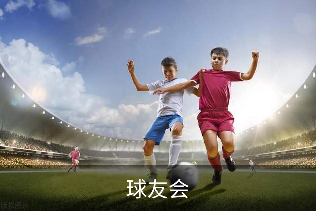 球友会公司简介